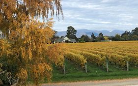 Vineyard Cottage In Blenheim On The Golden Mile