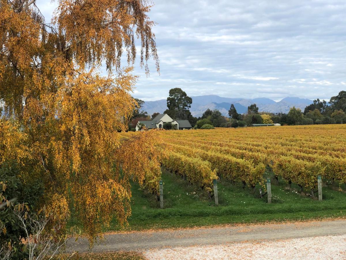 Vineyard Cottage In Blenheim On The Golden Mile Exterior photo